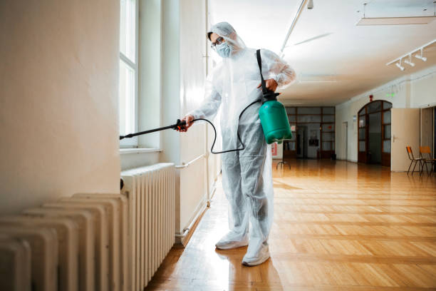 Professional Pest control in Black Mountain, NC